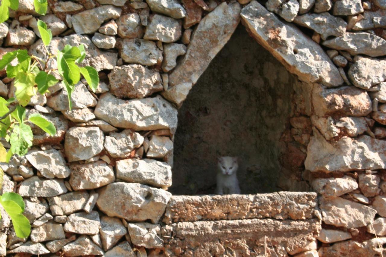 Bed and Breakfast Casa Eduardo Ostuni Exterior foto